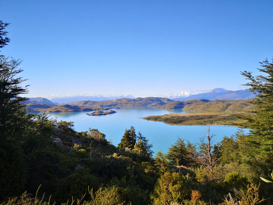 Parques Nacionales: preservando nuestra biodiversidad
